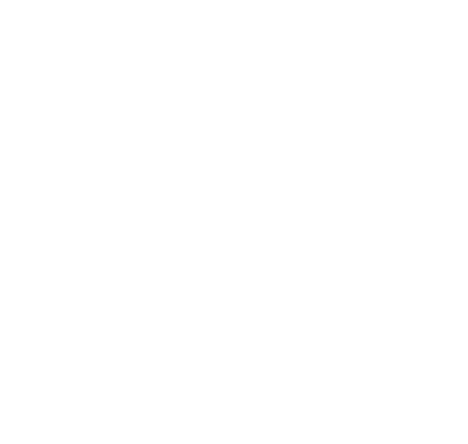 Wise Logo